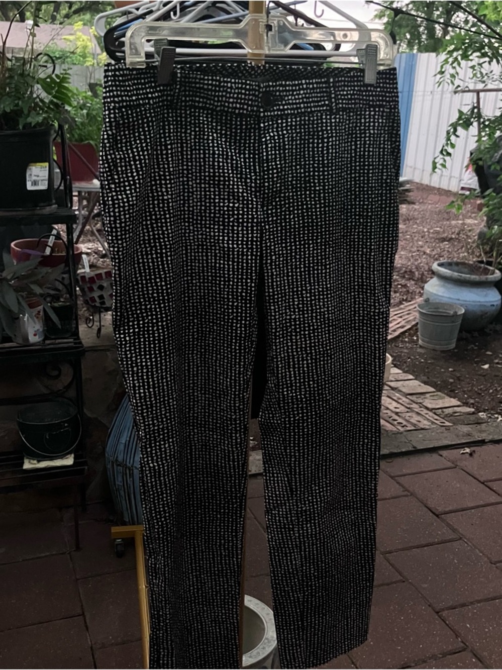 Dress pants